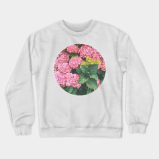 Hydrangea Crewneck Sweatshirt